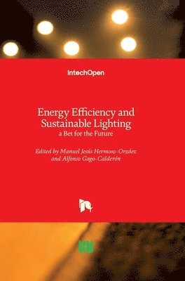 bokomslag Energy Efficiency and Sustainable Lighting