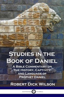 bokomslag Studies in the Book of Daniel