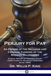 bokomslag Perjury for Pay