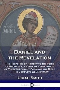 bokomslag Daniel and the Revelation