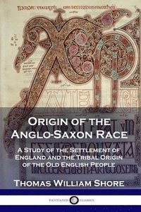 bokomslag Origin of the Anglo-Saxon Race