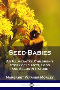 bokomslag Seed-Babies