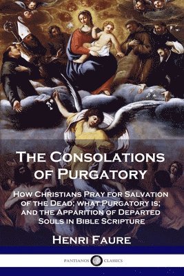 bokomslag The Consolations of Purgatory