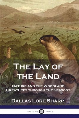 The Lay of the Land 1