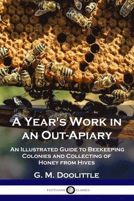 A Year's Work in an Out-Apiary 1