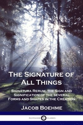 bokomslag The Signature of All Things