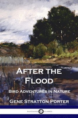 After the Flood 1