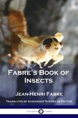 Fabre's Book of Insects 1