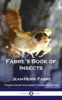 bokomslag Fabre's Book of Insects