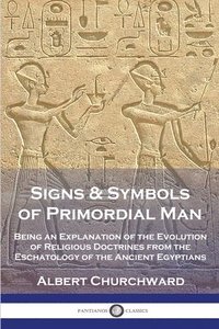 bokomslag Signs & Symbols of Primordial Man