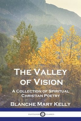 bokomslag The Valley of Vision: A Collection of Spiritual Christian Poetry