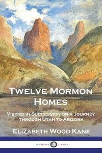 bokomslag Twelve Mormon Homes