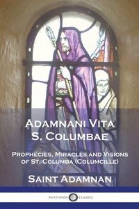 bokomslag Adamnani Vita S. Columbae
