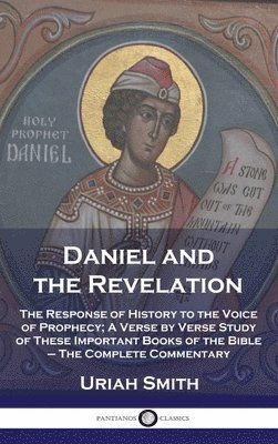 bokomslag Daniel and the Revelation