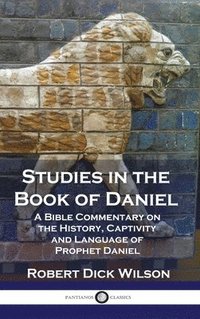 bokomslag Studies in the Book of Daniel