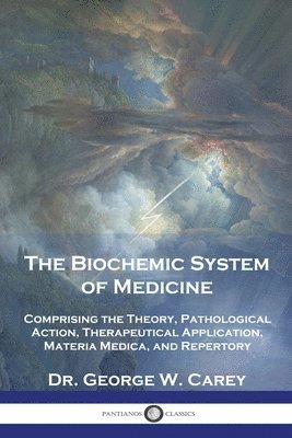 bokomslag The Biochemic System of Medicine