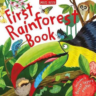 bokomslag First Rainforest Book