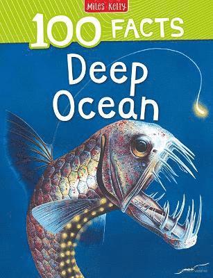 bokomslag 100 Facts Deep Ocean