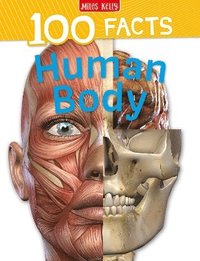 bokomslag Human Body