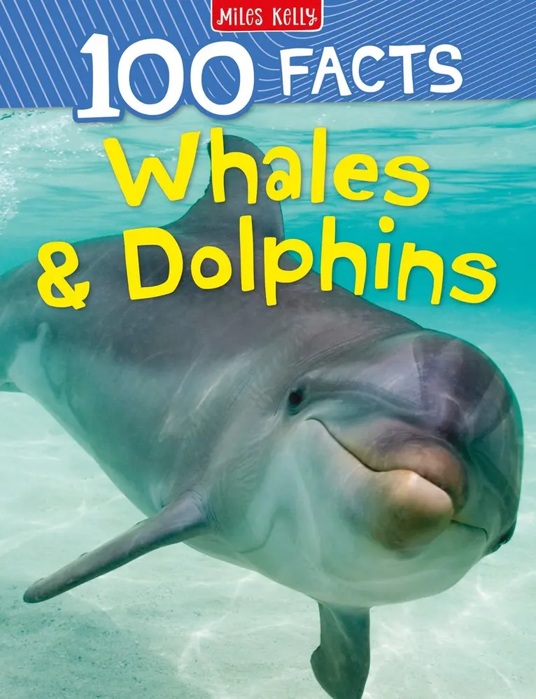 Miles Kelly - Whales & Dolphins, Häftad. Tillgänglighet: Lägg i varukorg