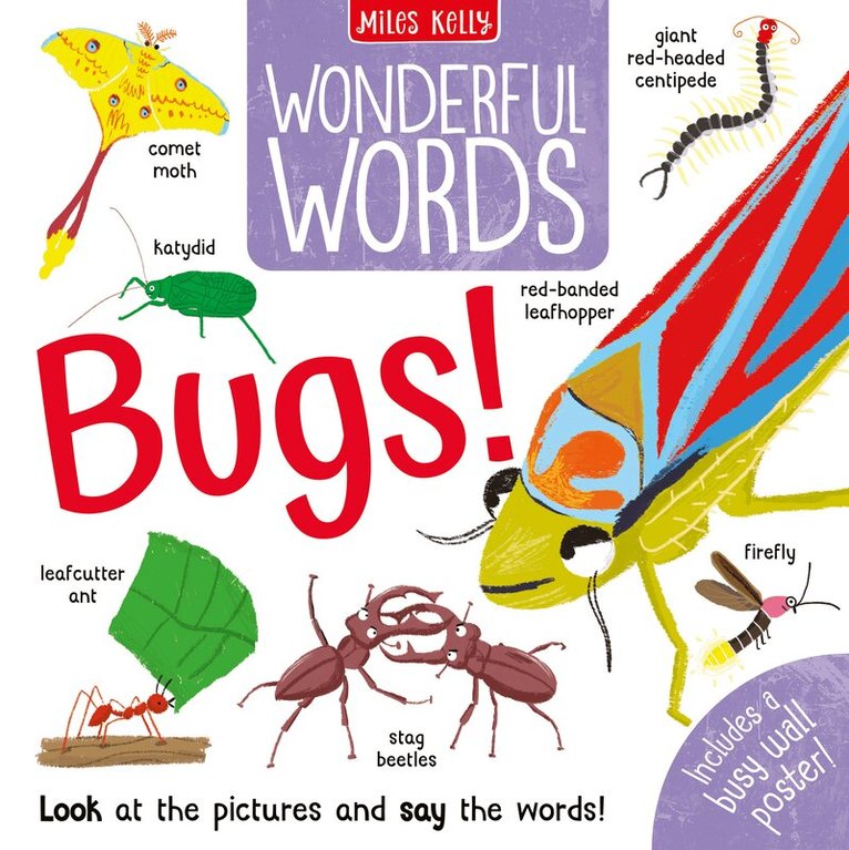 Amy Johnson - Wonderful Words: Bugs!, Inbunden