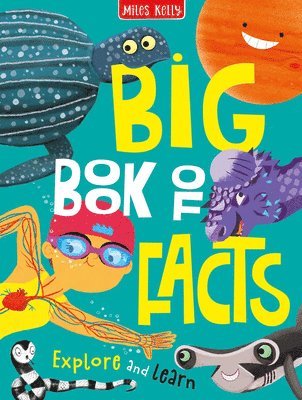 bokomslag Big Book of Facts