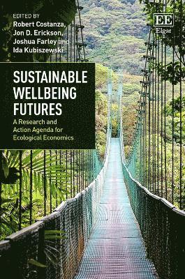 bokomslag Sustainable Wellbeing Futures
