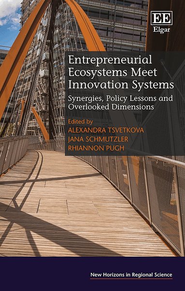 Alexandra Tsvetkova, Jana Schmutzler, Rhiannon Pugh - Entrepreneurial Ecosystems Meet Innovation Systems, Inbunden