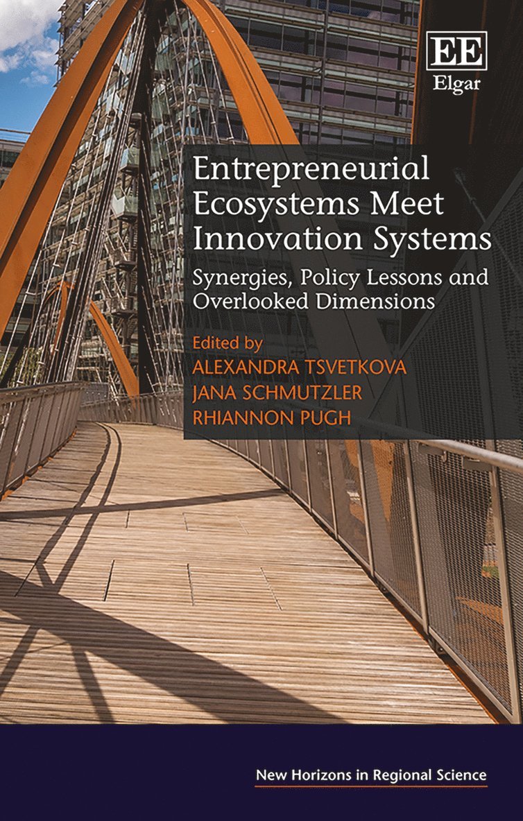 Alexandra Tsvetkova, Jana Schmutzler, Rhiannon Pugh - Entrepreneurial Ecosystems Meet Innovation Systems, Inbunden