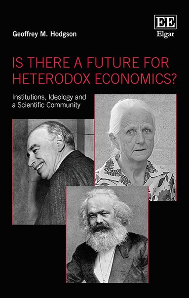 bokomslag Is There a Future for Heterodox Economics?