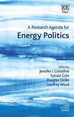 A Research Agenda for Energy Politics 1