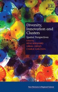 bokomslag Diversity, Innovation and Clusters