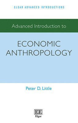 bokomslag Advanced Introduction to Economic Anthropology
