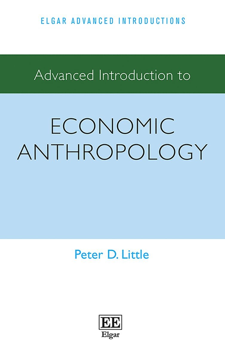 Peter D. Little - Advanced Introduction to Economic Anthropology, Häftad