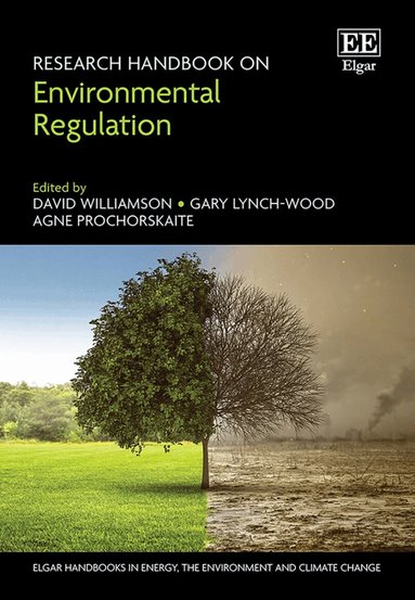 David Williamson, Gary Lynch-Wood, Agne Prochorskaite - Research Handbook on Environmental Regulation, Inbunden