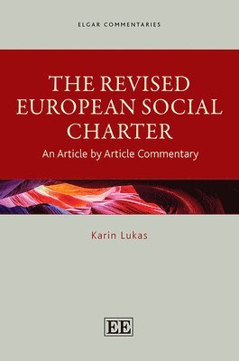 bokomslag The Revised European Social Charter