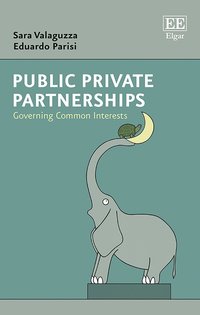 bokomslag Public Private Partnerships