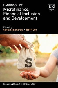 bokomslag Handbook of Microfinance, Financial Inclusion and Development