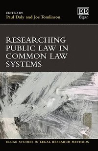 bokomslag Researching Public Law in Common Law Systems