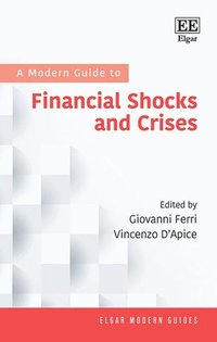 bokomslag A Modern Guide to Financial Shocks and Crises