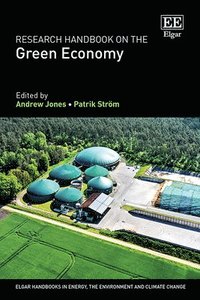bokomslag Research Handbook on the Green Economy