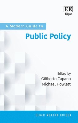 bokomslag Modern Guide to Public Policy