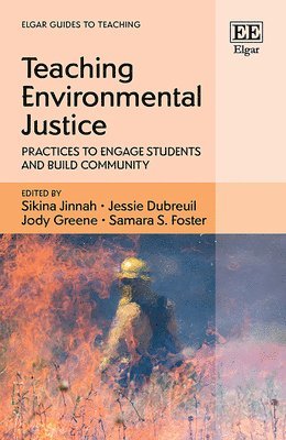 bokomslag Teaching Environmental Justice
