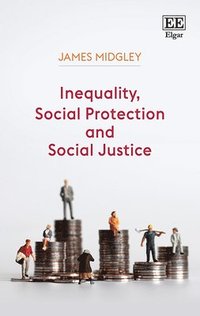 bokomslag Inequality, Social Protection and Social Justice