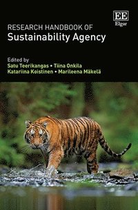 bokomslag Research Handbook of Sustainability Agency