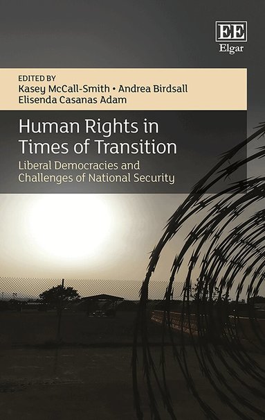 Kasey McCall-Smith, Andrea Birdsall, Elisenda Casanas Adam - Human Rights in Times of Transition, Inbunden