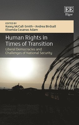 bokomslag Human Rights in Times of Transition