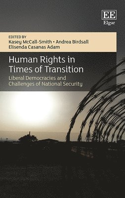 Human Rights in Times of Transition 1
