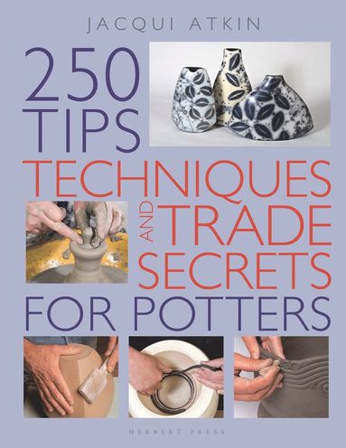 bokomslag 250 Tips, Techniques and Trade Secrets for Potters