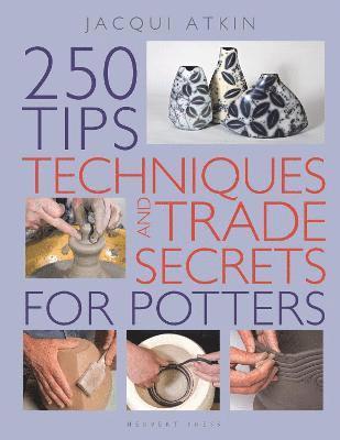 250 Tips, Techniques and Trade Secrets for Potters 1